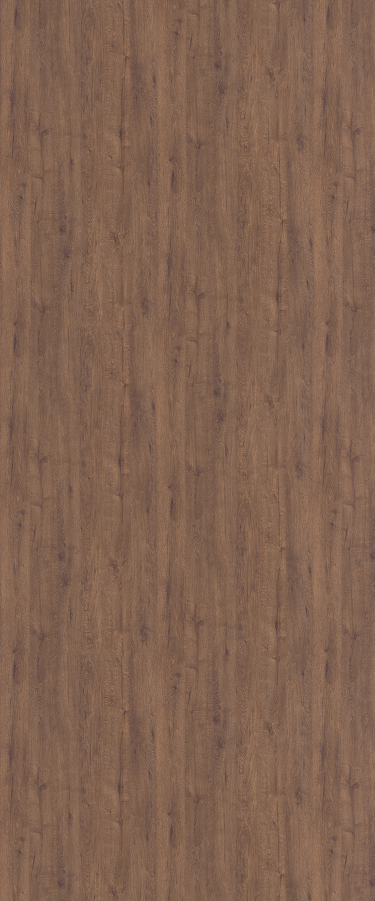 9643 Cinder Wood