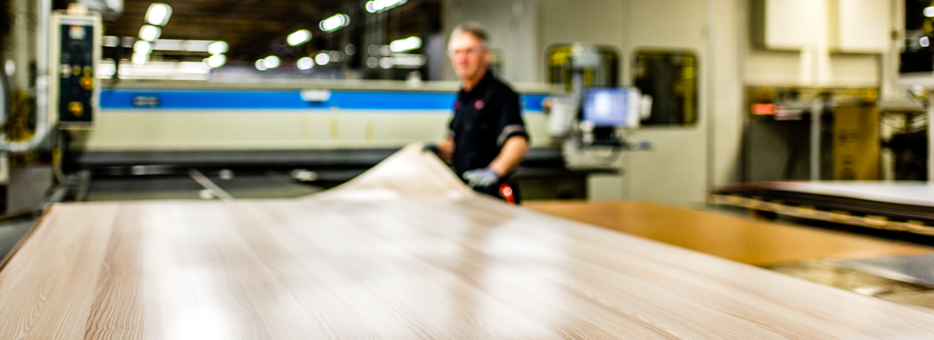 Formica worker in plant