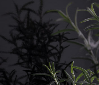 AR Plus Gloss Texture