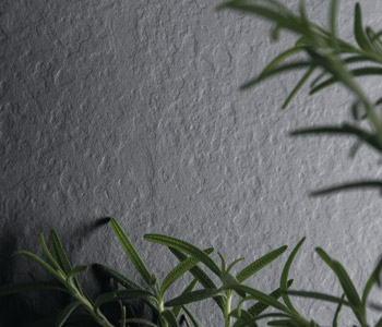 Ardesia Texture