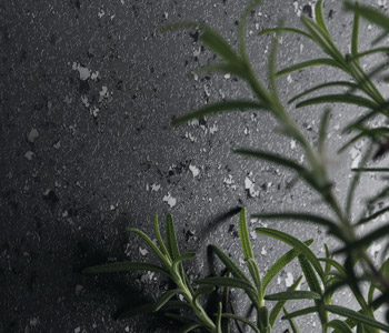 Lustre Texture