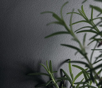 Matte58 Texture