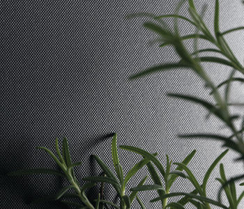 Plex Texture