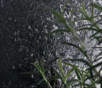 Radiance Texture
