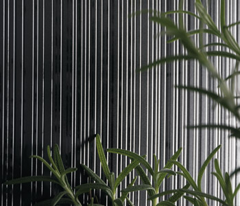 Rigato Texture