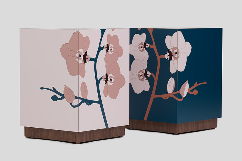 Orchid