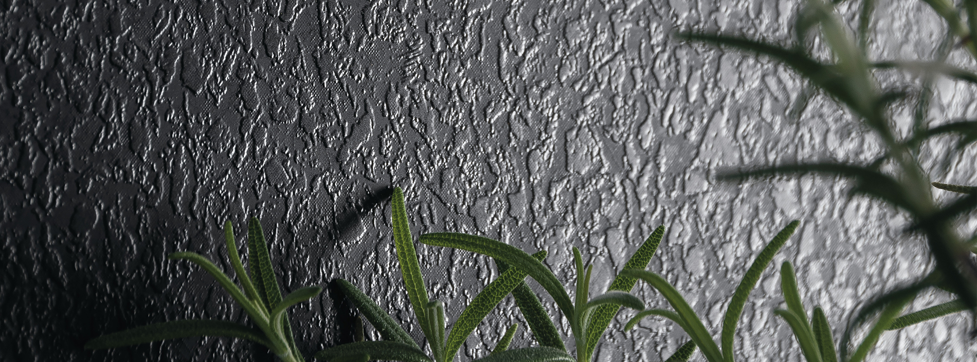 Riverwash feature card 1900x705