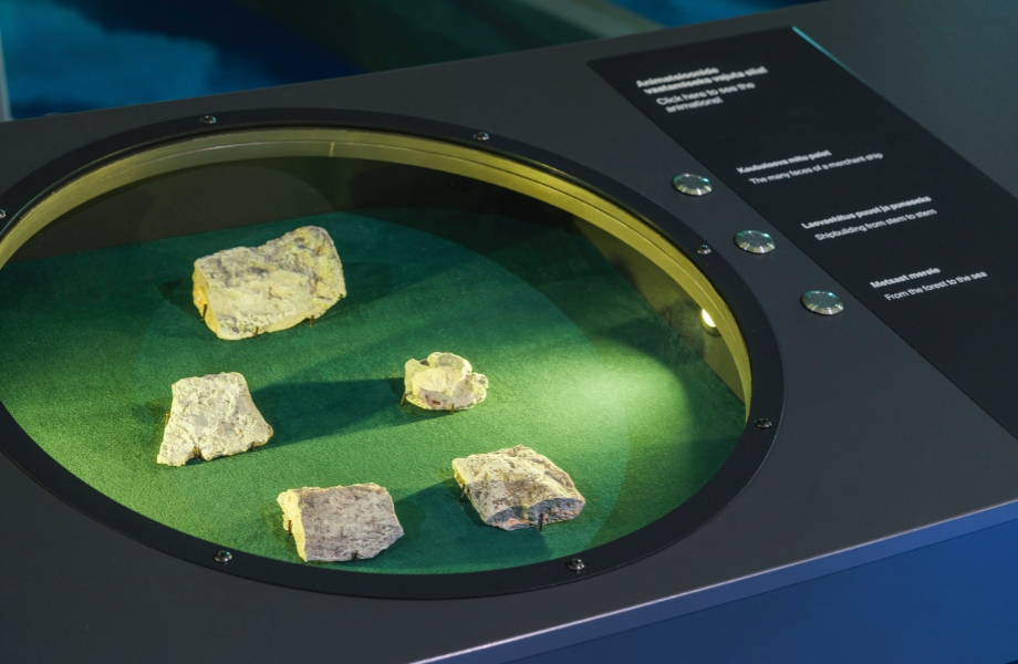 Glass.Mapper.Sc.Fields.Image?.Alt