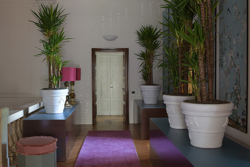 The Transition Room