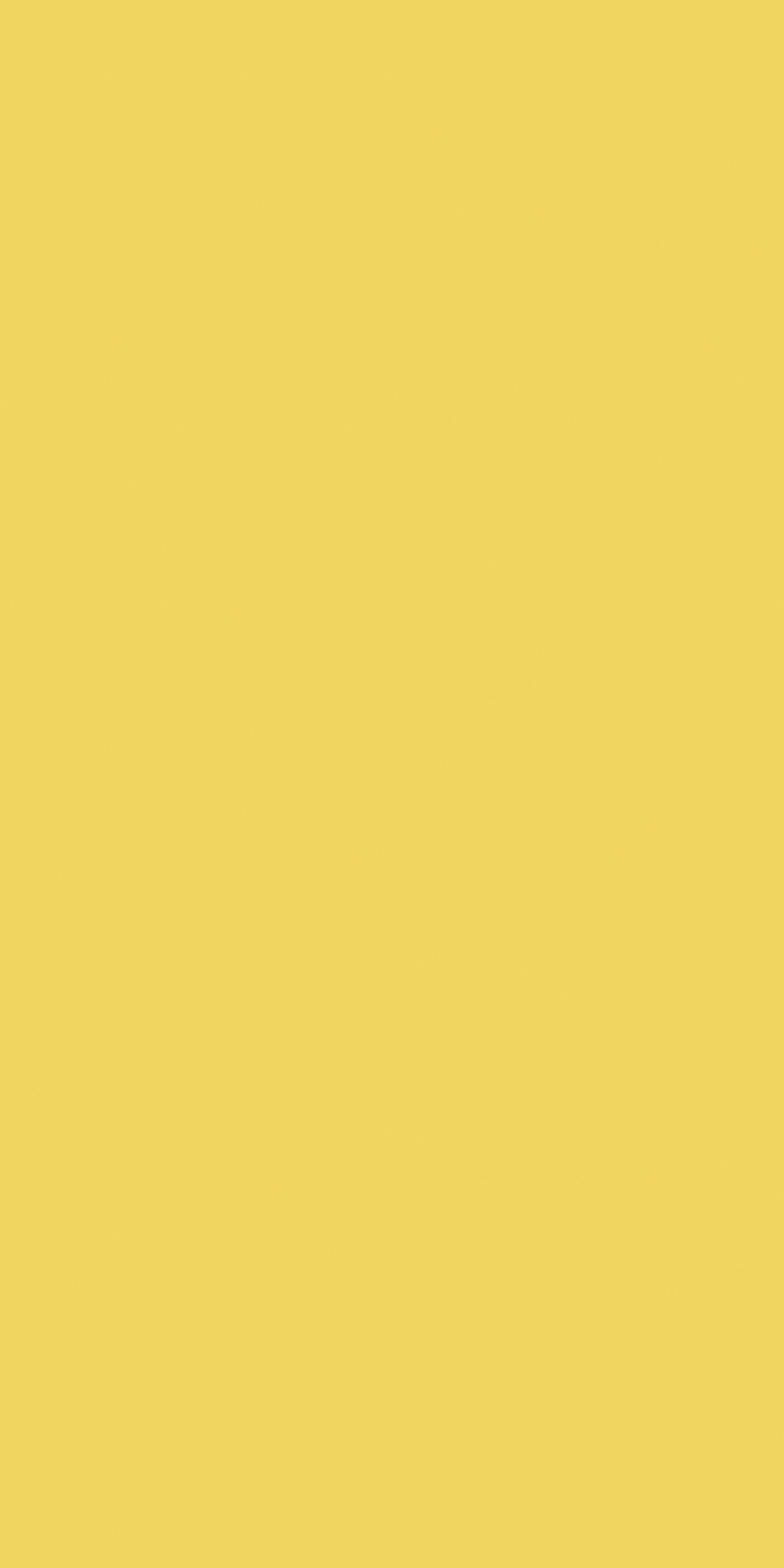 5042 Fullsheet