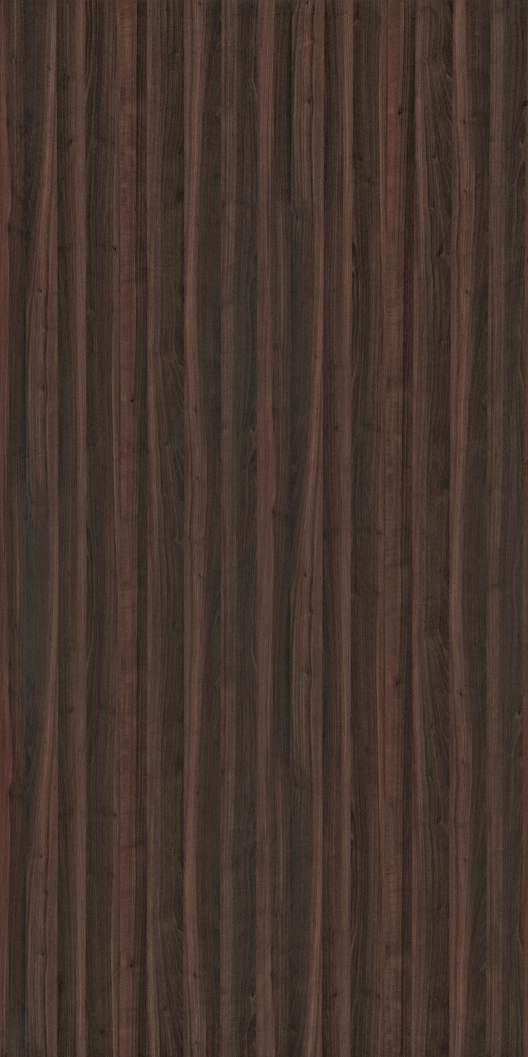 Chocolate Exotic