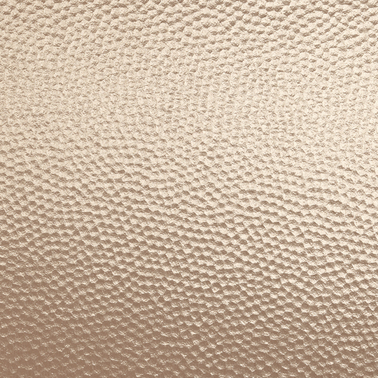D2807 Swatch