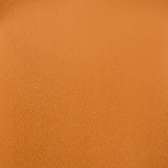 D6429 Swatch