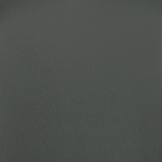 D6431 Swatch