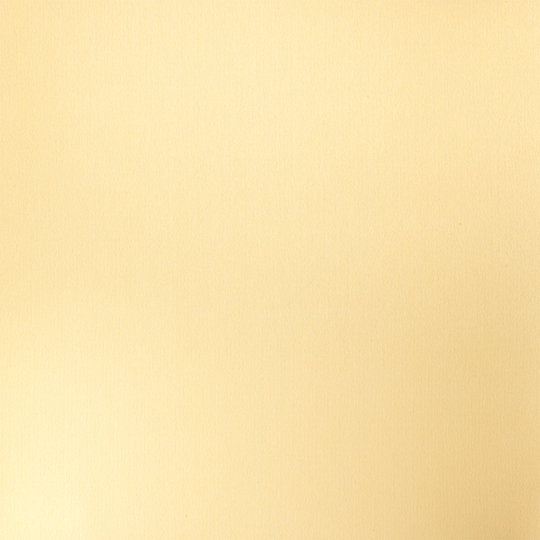 D8123 Swatch