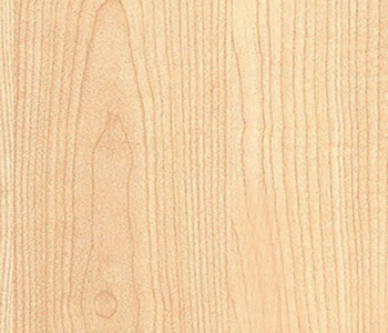 Manitoba Maple