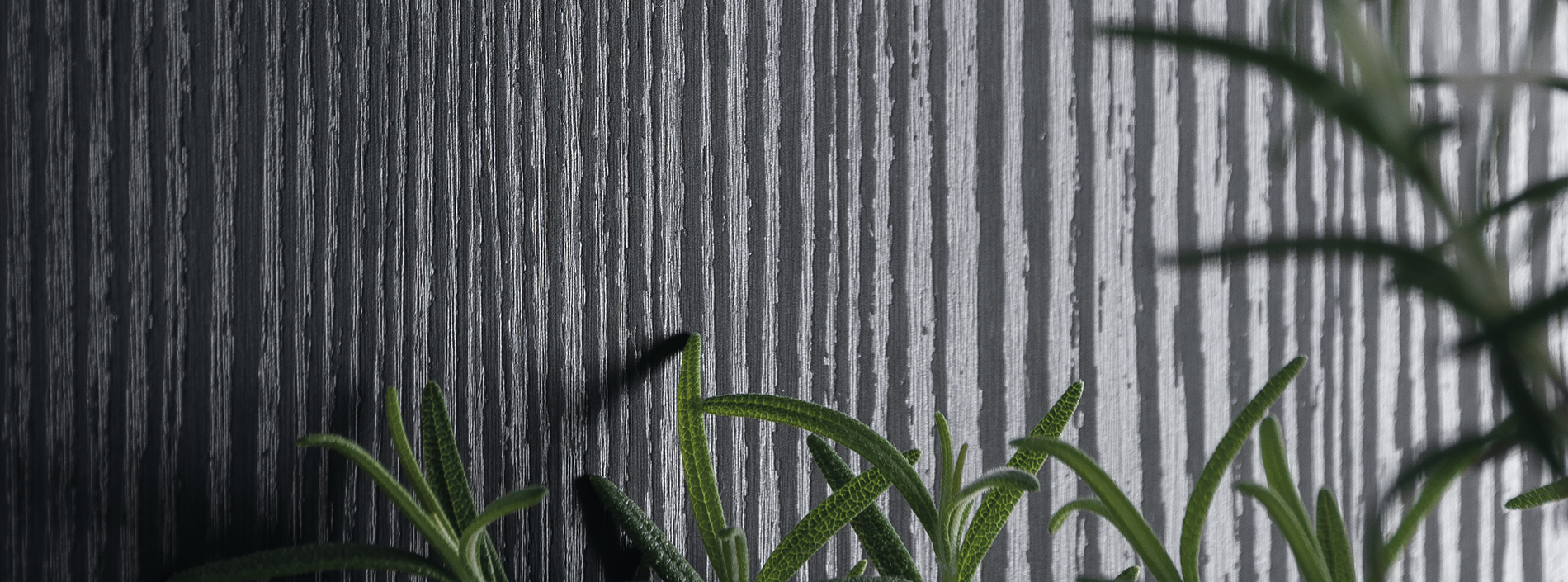 Linewood feature card 1900x705