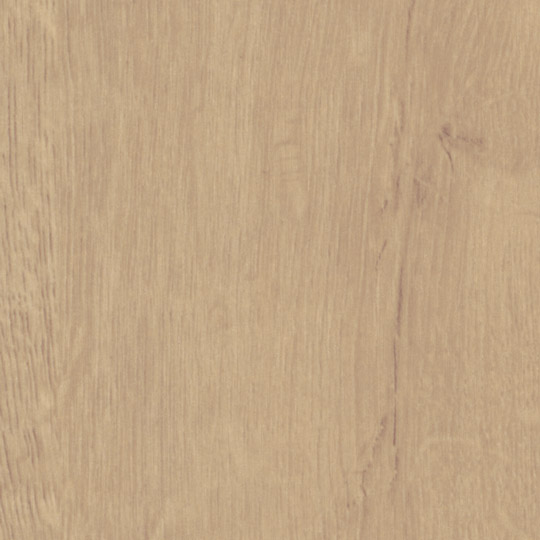 Quercus Beige