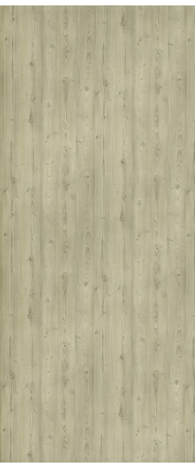River Pine