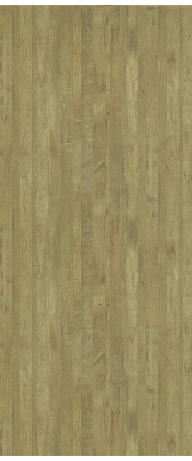 F9661 Natural Planked Elm Formica® Topline