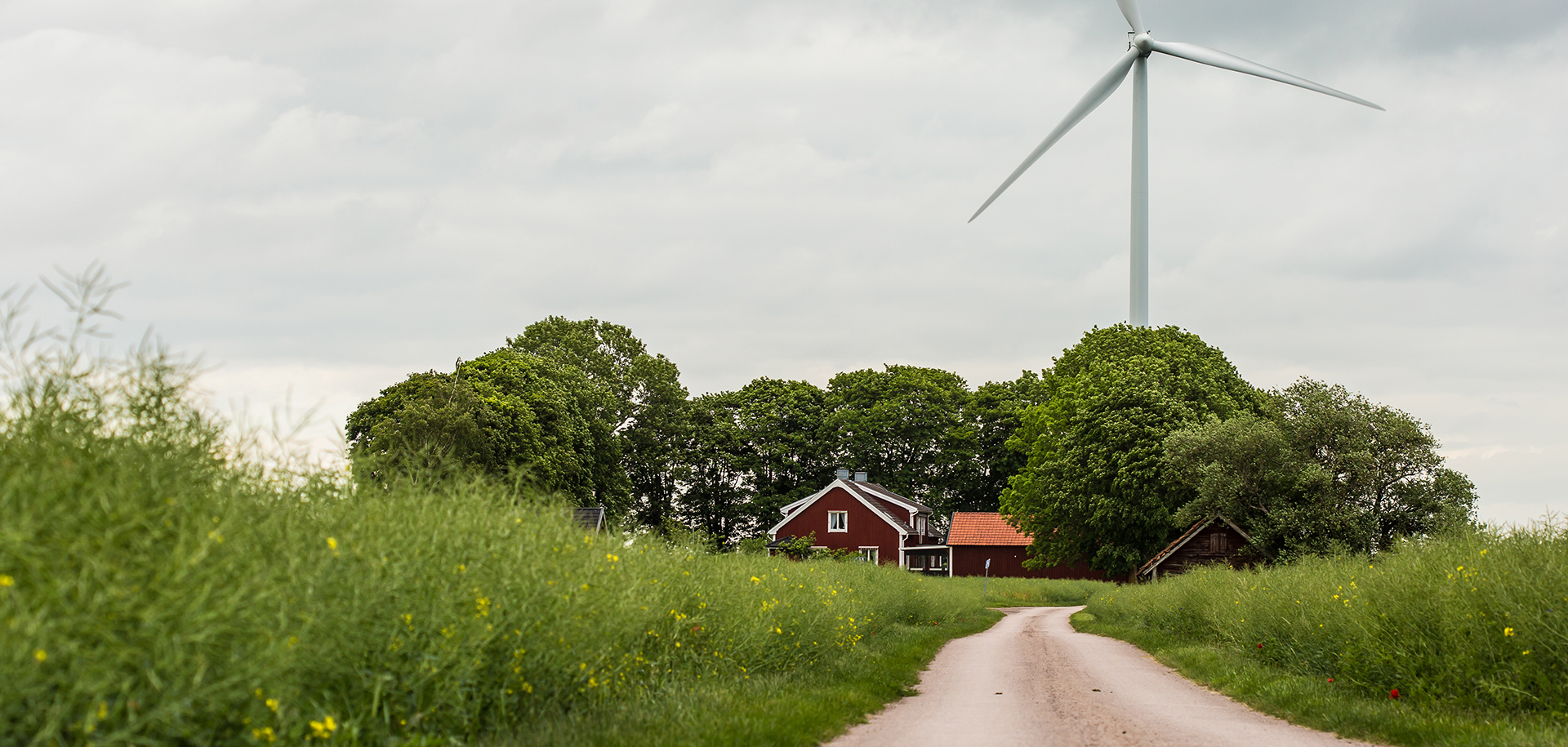 Swedish Road
