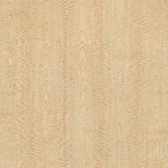 French Sycamore