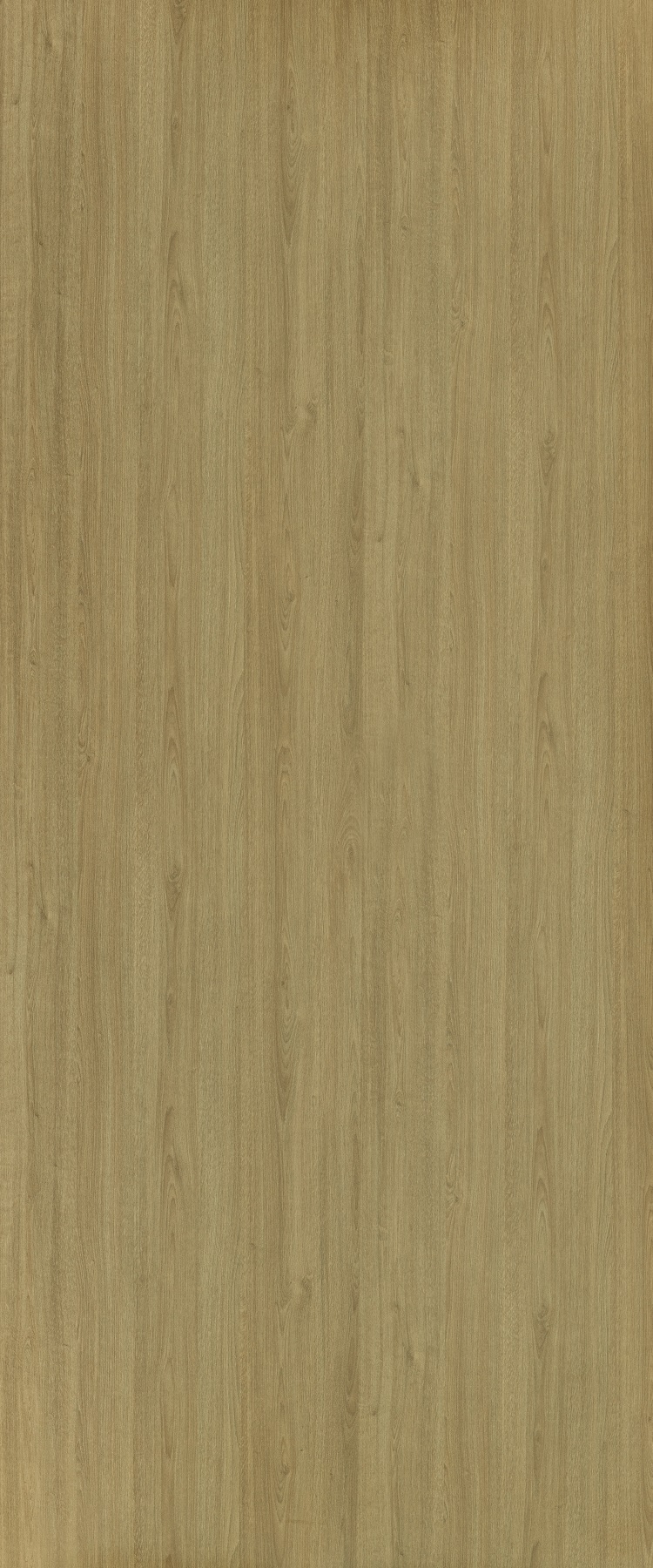 7393 Fullsheet