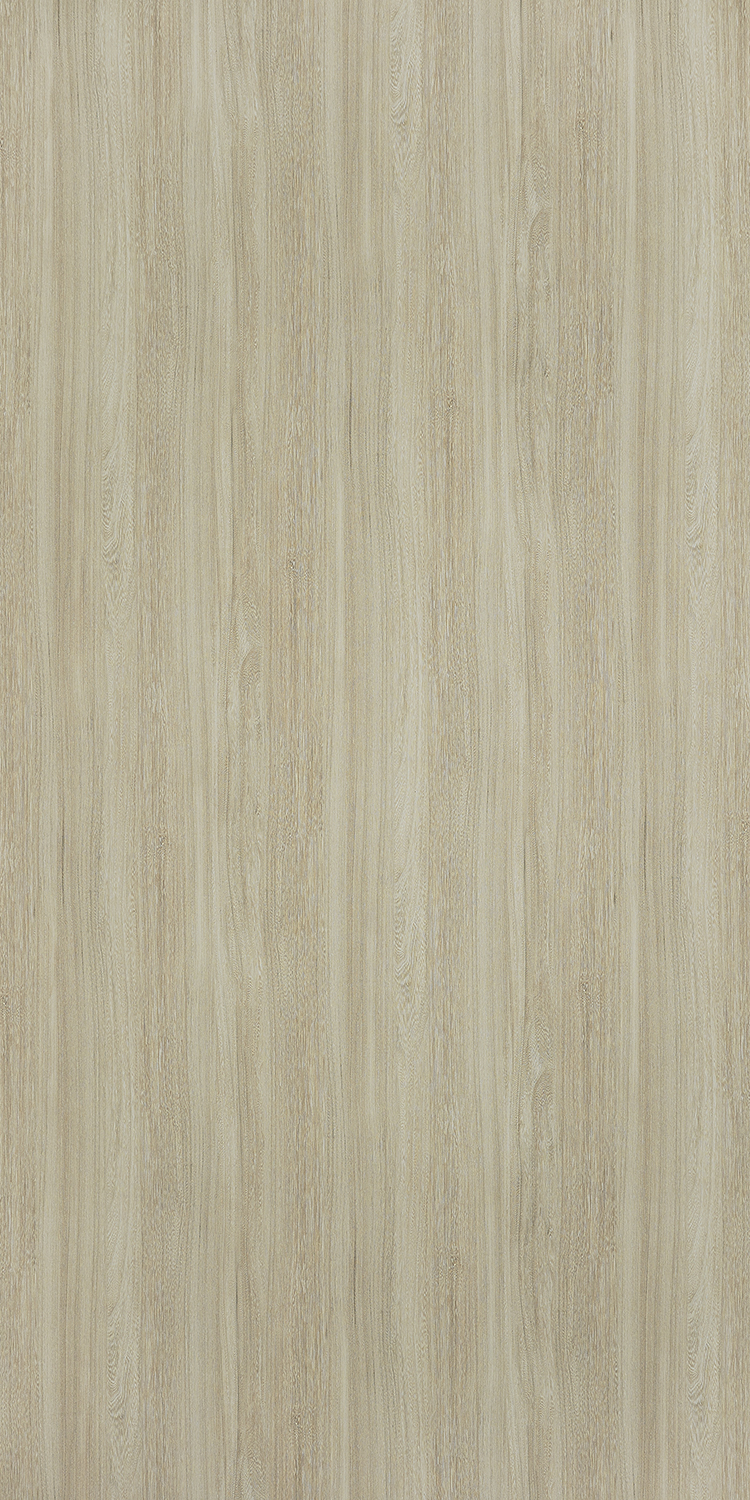A6404