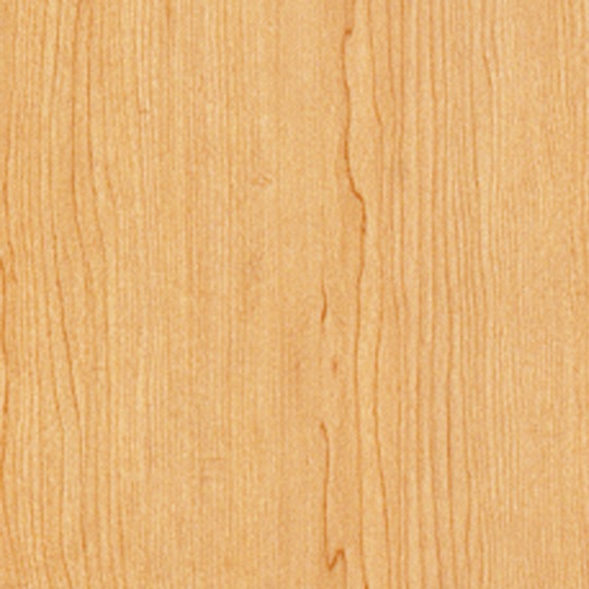 CR9966 山陵枫木(山) - Formica Cora TM