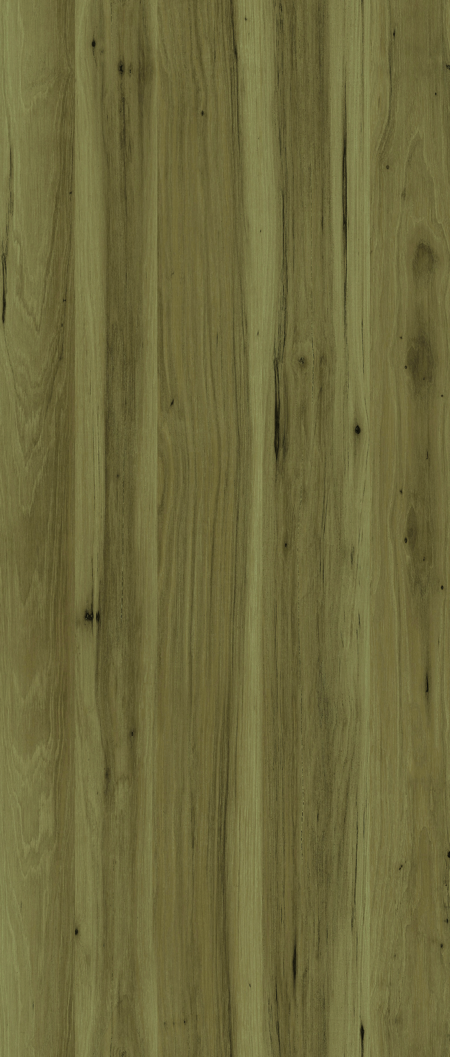 formicaio olive doyle